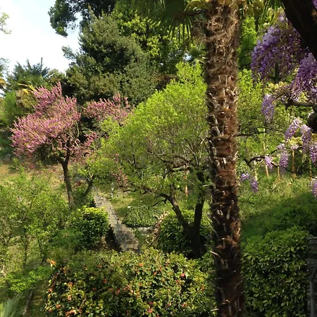 Mappina Roccabella Locarno